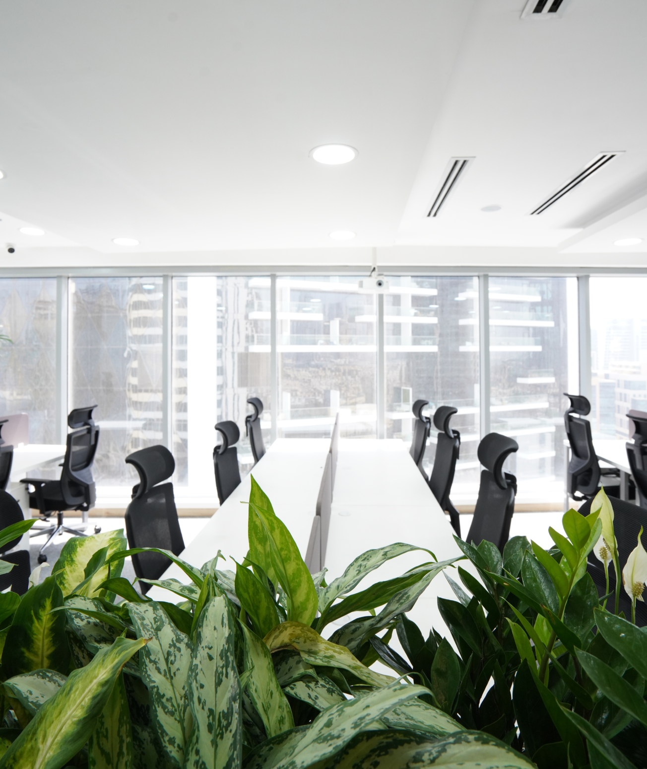 Interior view 1